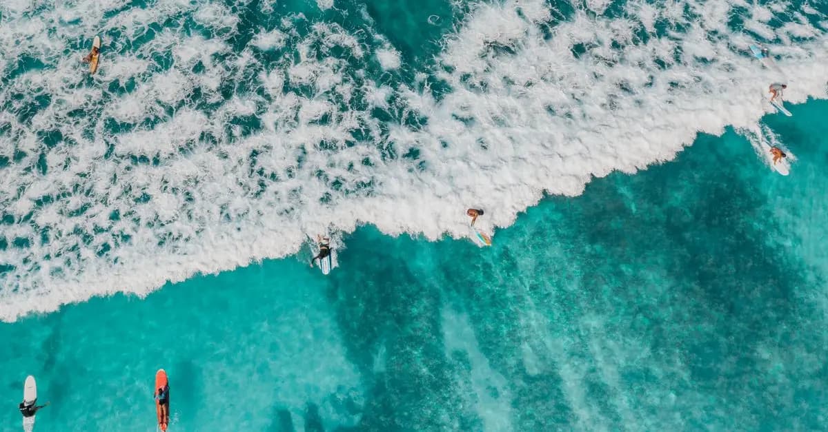 Top 5 des sports extrêmes accessibles à tous