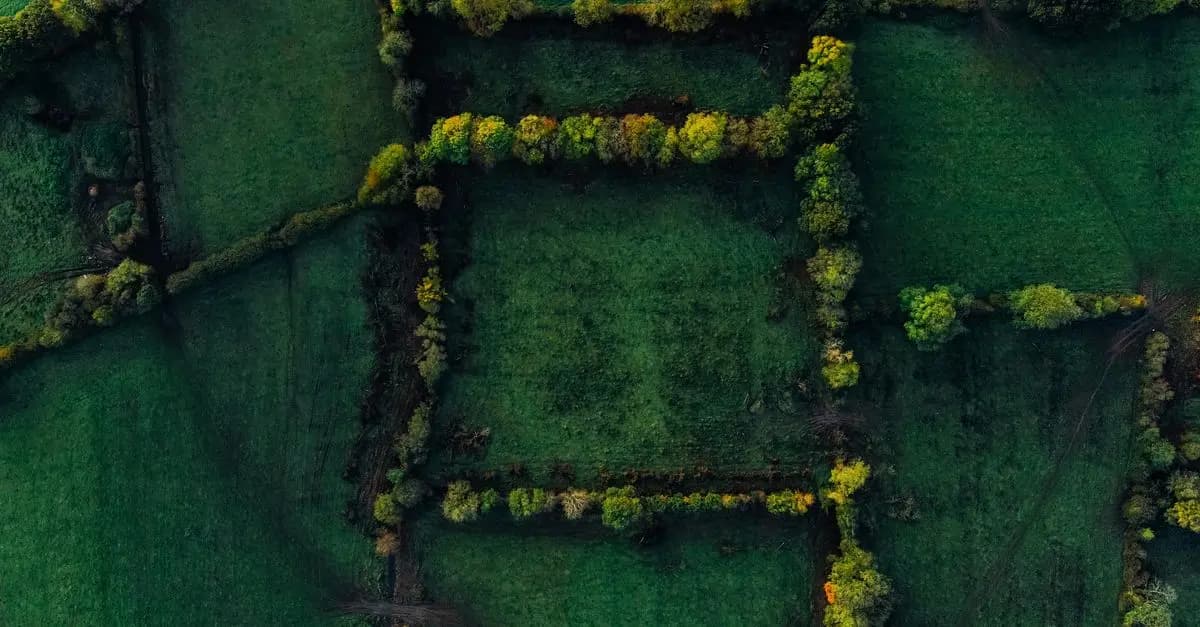 Focus sur les drones : alliés des sports extrêmes